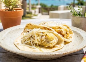 ZIPのレシピ・アグじゃがの天ぷらタコス