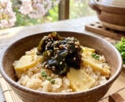 ノンストップのレシピ・タケノコの炊き込みご飯