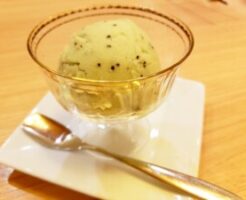 トリセツショーのレシピ・キウイシャーベット