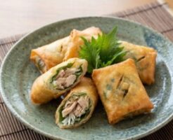 あさイチのレシピ・新たまねぎのおかず春巻き