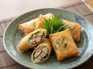 あさイチのレシピ・新たまねぎのおかず春巻き