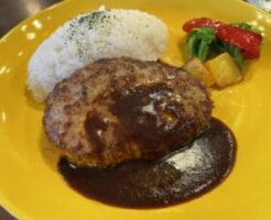 きょうの料理ビギナーズのレシピ・ハンバーグ