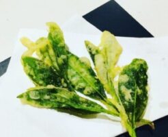 相葉マナブのレシピ・新茶の天ぷら