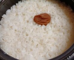 きょうの料理のレシピ・梅干しご飯