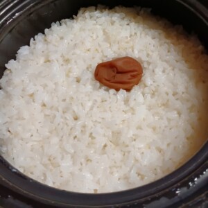 きょうの料理のレシピ・梅干しご飯