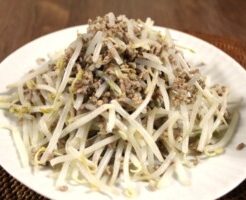 きょうの料理ビギナーズのレシピ・もやしのドライカレー風