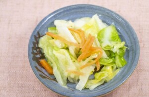 きょうの料理のレシピ・せん切り野菜の塩漬け