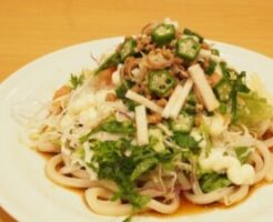滝沢カレン&和田明日香のフィーリンきっちんのレシピ・冷やしネバネバうどん