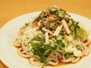 滝沢カレン&和田明日香のフィーリンきっちんのレシピ・冷やしネバネバうどん