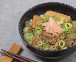 滝沢カレン&和田明日香のフィーリンきっちんのレシピ・肉豆腐ガリ丼