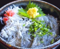 相葉マナブのレシピ・シラスの二色丼