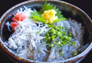 相葉マナブのレシピ・シラスの二色丼