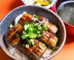 ノンストップのレシピ・ナスのかば焼き丼