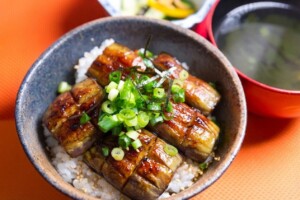 ノンストップのレシピ・ナスのかば焼き丼