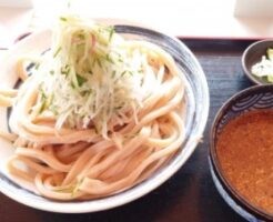 相葉マナブのレシピ・すったてうどん