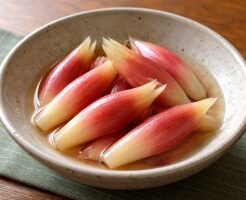 相葉マナブのレシピ・ミョウガの甘酢漬け