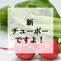 新チューボーですよ！
